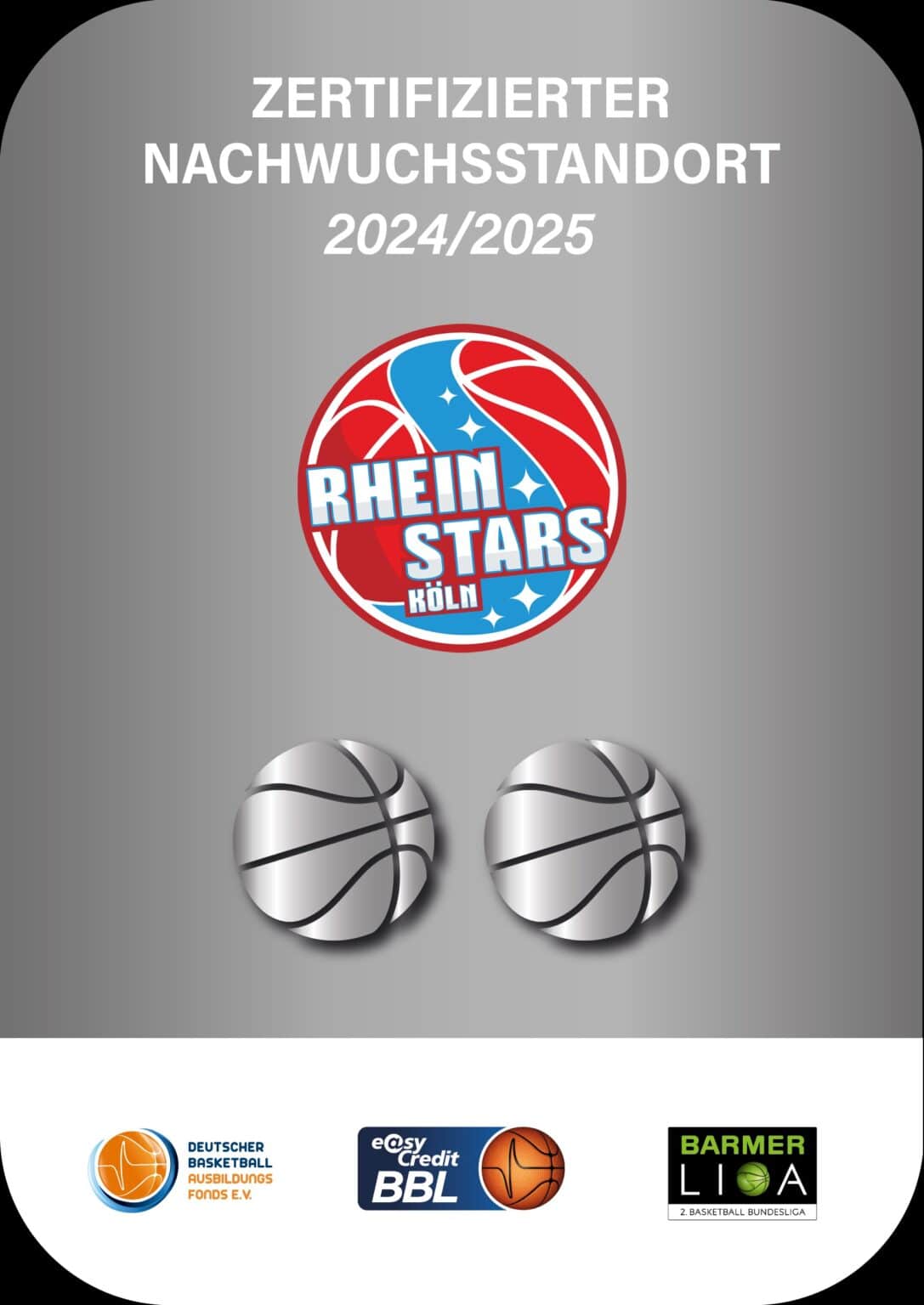 Zertifikat "Nachwuchsstandort 2024/2025" der RheinStars Köln mit Basketballlogo und Verbandssiegeln.