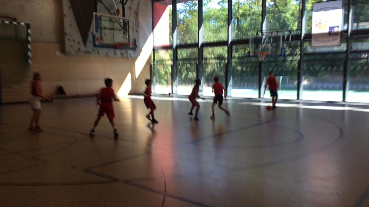 Junge Basketballspieler der RheinStars Köln trainieren in einer Sporthalle mit großen Fenstern.