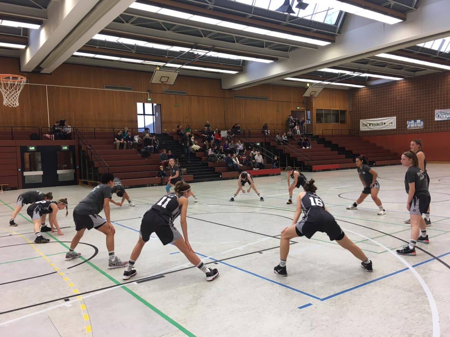 Volleyballteam der RheinStars Köln beim Training in der Sporthalle.