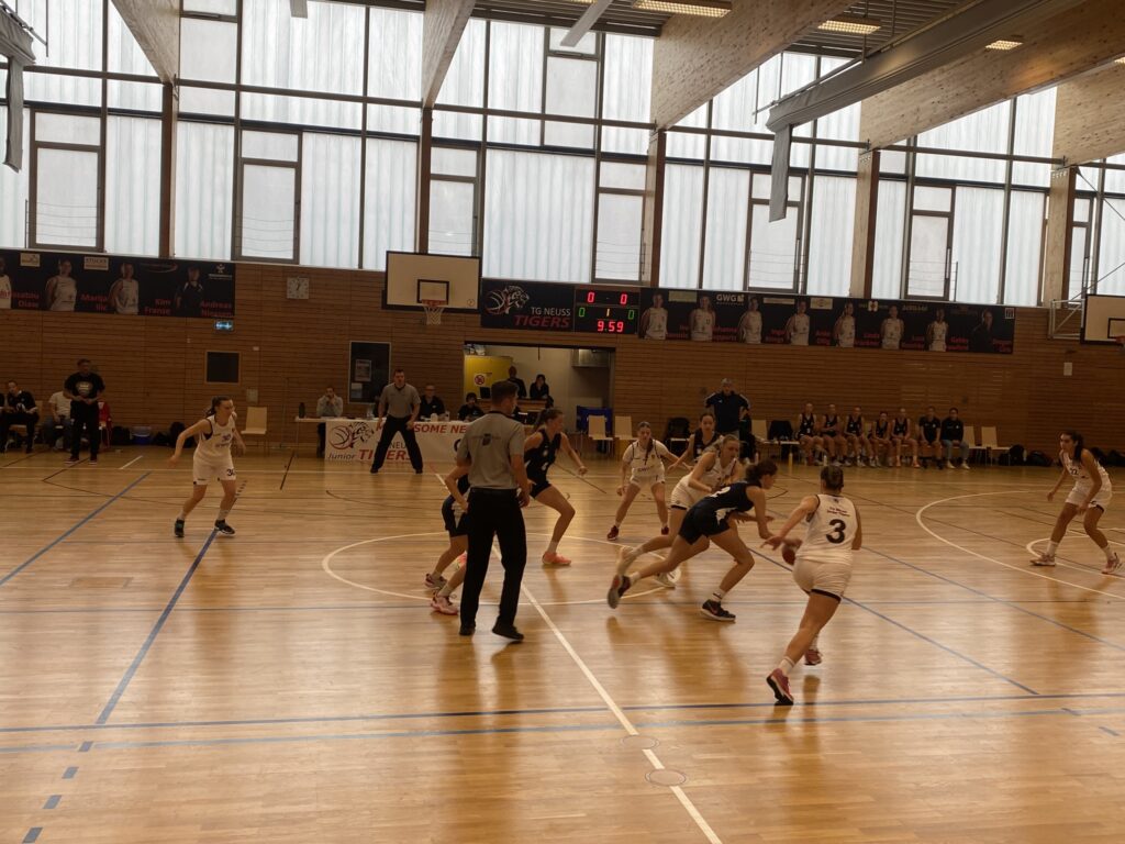 Volleyball-Spiel der RheinStars Köln in einer Sporthalle mit Zuschauern.
