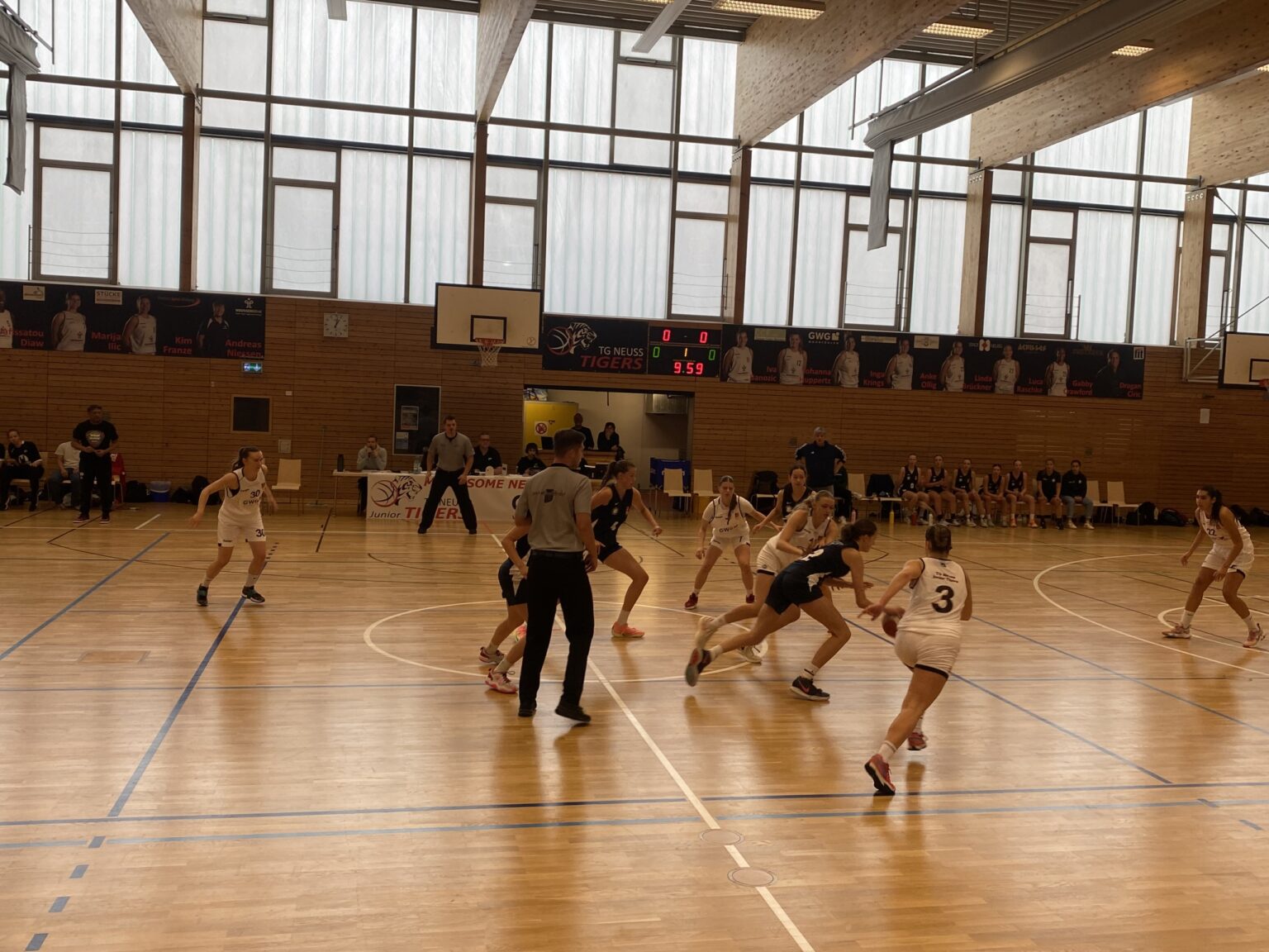 Volleyball-Spiel der RheinStars Köln in einer Sporthalle mit Zuschauern.